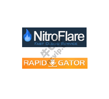 Rapidgator|Nitroflare网盘代下载国外网盘网站学习资料/文件/各类海外资源代下载|Nitroflare网盘|